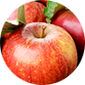 APFEL APFEL